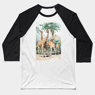 Victorian Giraffe Illustration Baseball T-Shirt